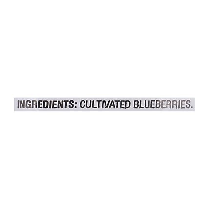 Signature SELECT Blueberries Unsweetened Whole - 48 Oz - Image 5