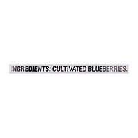 Signature SELECT Blueberries Unsweetened Whole - 48 Oz - Image 6