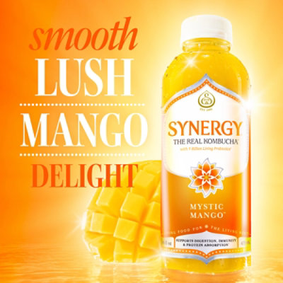 GTs Enlightened Kombucha Organic & Raw Mystic Mango - 16 Fl. Oz. - Image 1