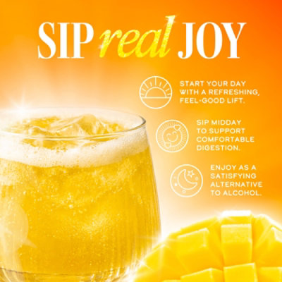 GTs Enlightened Kombucha Organic & Raw Mystic Mango - 16 Fl. Oz. - Image 2