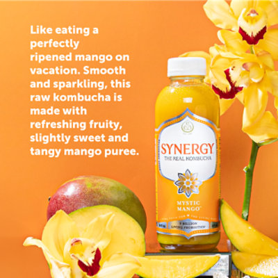 Synergy The Real Kombucha Mystic Mango - 16 Fl. Oz. - Image 2