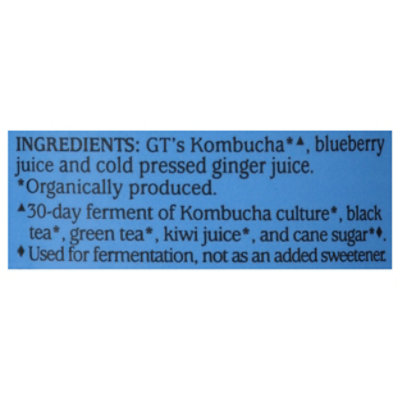 GT's Synergy Gingerberry Kombucha - 16 Oz. - Image 4
