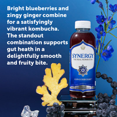 Synergy The Real Kombucha Gingerberry - 16 Fl. Oz. - Image 2