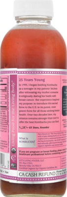 GT's Synergy Passionberry Bliss Kombucha - 16.2 Fl. Oz. - Image 6
