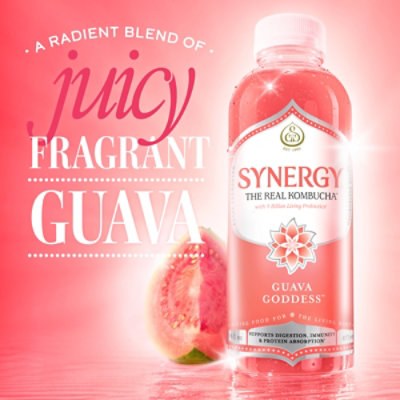 Synergy The Real Kombucha Guava Goddess - 16 Fl. Oz. - Image 2