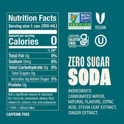 Zevia Zero Sugar Ginger Ale Soda - 6-12 Fl. Oz. - Image 4