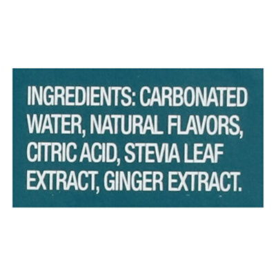 Zevia Zero Sugar Ginger Ale Soda - 6-12 Fl. Oz. - Image 5