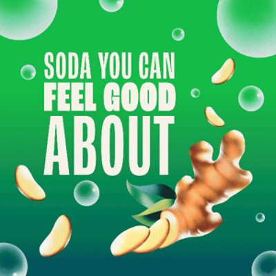 Zevia Zero Sugar Ginger Ale Soda - 6-12 Fl. Oz. - Image 6