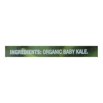 O Organics Baby Kale - 5 Oz - Image 3