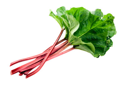 Rhubarb Organic - Image 1