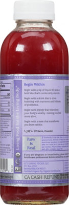 GT's Syngery Raw Lavender Love Kombucha - 16.2 Fl. Oz. - Image 6