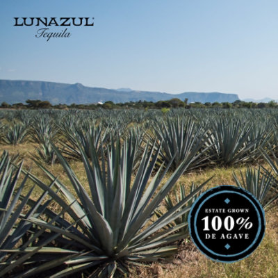 Lunazul Tequila Blanco 80 Proof - 750 Ml - Image 3