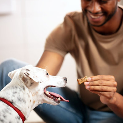 Milk-Bone Flavor Snacks Dog Snacks For All Sizes Minis Beef Chicken Bacon Flavor - 15 Oz - Image 4