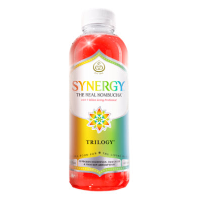 Synergy The Real Kombucha Trilogy - 16 Fl. Oz.