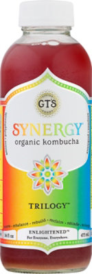 GT's Synergy Trilogy Kombucha - 16 Fl. Oz. - Image 2