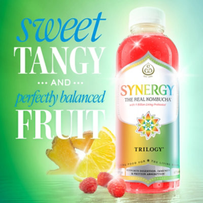 Synergy The Real Kombucha Trilogy - 16 Fl. Oz. - Image 2