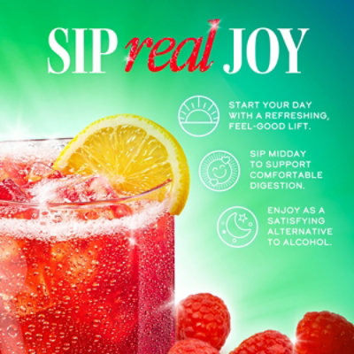 Synergy The Real Kombucha Trilogy - 16 Fl. Oz. - Image 7