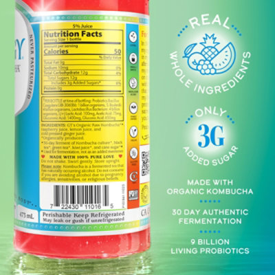 Synergy The Real Kombucha Trilogy - 16 Fl. Oz. - Image 3