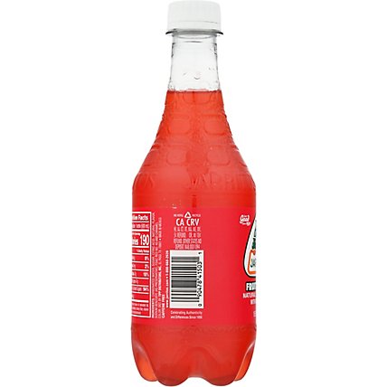 Jarritos Soda Fruit Punch Bottle - 16.9 Fl. Oz. - Image 6