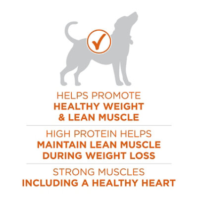 Purina ONE Healthy Weight Turkey Dry Dog Food - 16.5 Lb - Image 4