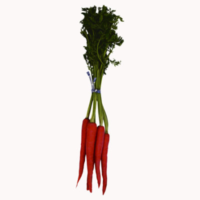 Carrots Baby Pink - Each