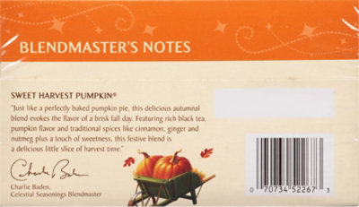 Celestial Seasonings Black Tea Holiday Sweet Harvest Pumpkin - 20 Count - Image 4