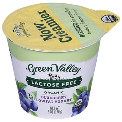 Green Valley Organics Yogurt Blueberry Yogurt 6 Oz JewelOsco