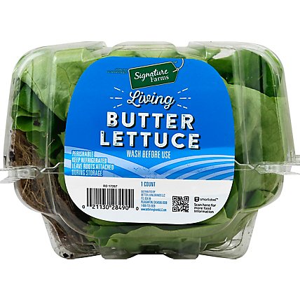 Signature Farms  Living Butter Lettuce - 1 Count - Image 2
