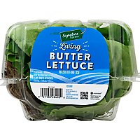 Signature Farms  Living Butter Lettuce - 1 Count - Image 2