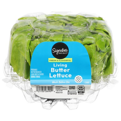 Signature Select/Farms Living Butter Lettuce - 1 Count - Image 2