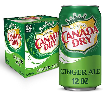 Canada Dry Ginger Ale In Can - 24-12 Fl. Oz. - Image 1