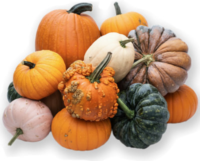 Specialty Assorted Pumpkin (assortment may vary) - Image 1