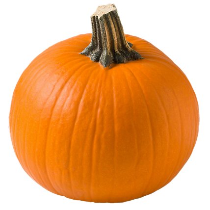 Specialty Assorted Pumpkin - Image 1