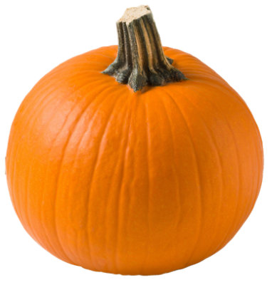 Specialty Assorted Pumpkin