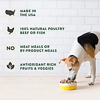 Freshpet Dog Joy Dog Treats Natural Turkey Bacon Pouch - 3 Oz - Image 3
