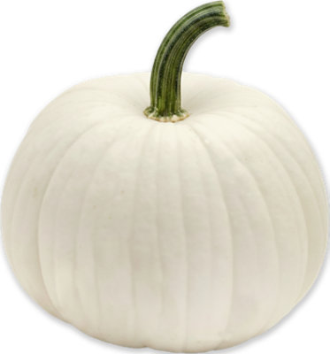 White Pumpkin Medium - Weight Between 6 - 10 Lb - Image 1
