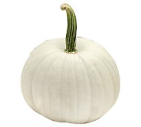 White Pumpkin Medium - Weight Between 10-15 Lb
