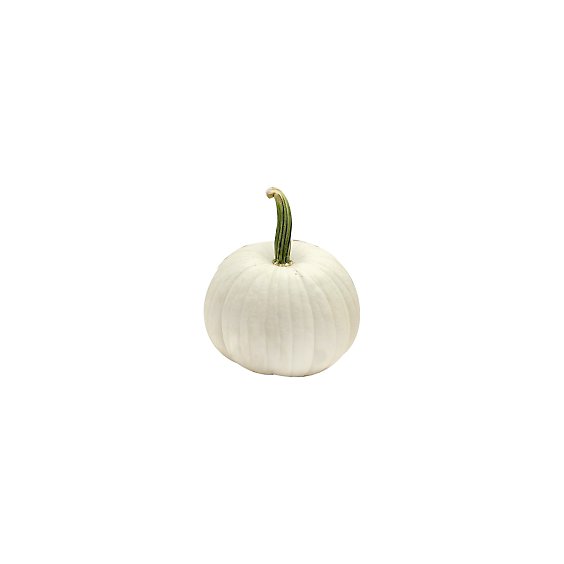White Pumpkin Medium - Weight Between 10-15 Lb