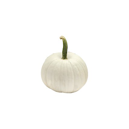 White Pumpkin Medium - Weight Between 10-15 Lb - Image 1