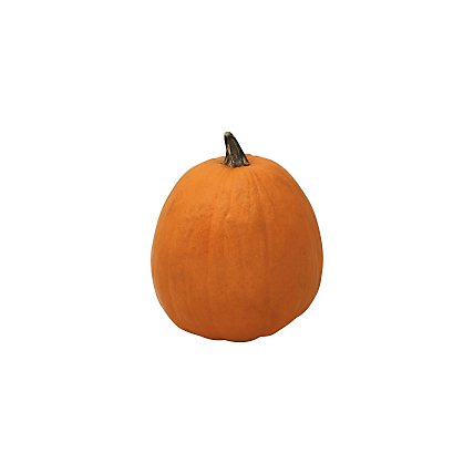 Orange Pumpkin Medium - Weight Between 10-15 Lb - Image 1