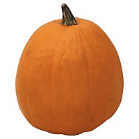 Orange Pumpkin Medium - Weight Between 10-15 Lb - Image 1