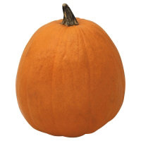 Orange Pumpkin Medium - Weight Between 10-15 Lb