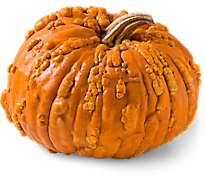 Knucklehead Pumpkin Medium - Weight Between 10-15 Lb