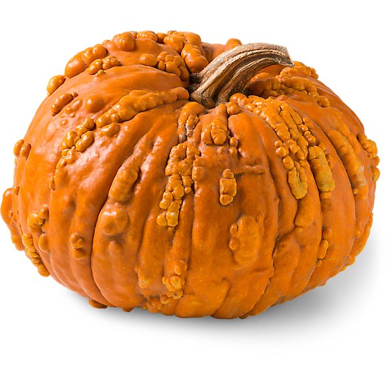 Knucklehead Pumpkin Medium - Weight Between 10-15 Lb