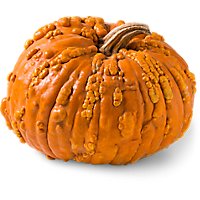 Knucklehead Pumpkin Medium - Weight Between 10-15 Lb - Image 1
