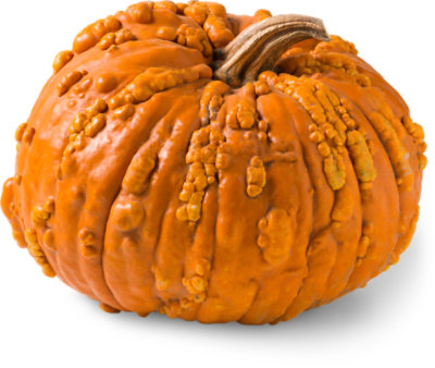 Knucklehead Pumpkin Medium - Weight Between 10-15 Lb