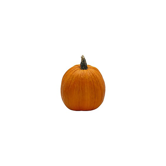 Orange Pumpkin Large - Weight Between 16-24 Lb