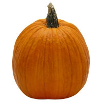 Orange Pumpkin Large - Weight Between 16-24 Lb