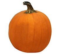 Orange Pumpkin Regular/Small - Weight Between 8-10 Lb