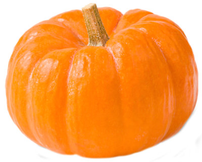 Orange Pumpkin Small/Mini - Weight Between 1-2 Lb - Image 1